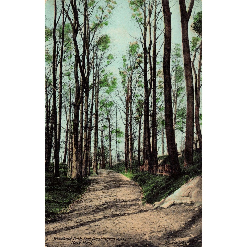 Woodland Path Fort Washington Park New York Valentine & Sons Vintage Postcard - Picture 1 of 2